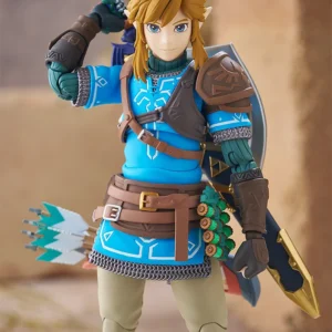 Link Tears of the Kingdom ver.